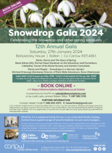 Snow Drop Gala 2024